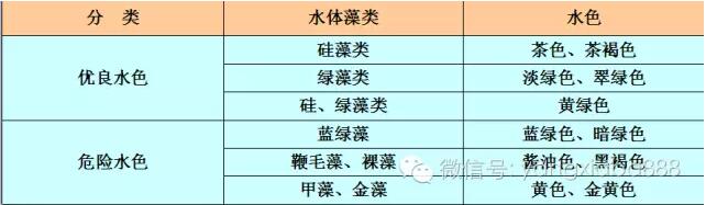 养虾那么久 这些问题你真的懂了吗 澧县福民水产养殖专业合作社